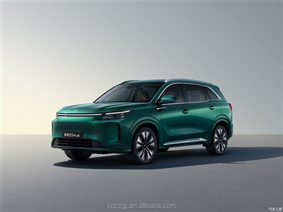 Landian E5 gaat met succes naar het buitenland! De verkoop van nieuwe energie...